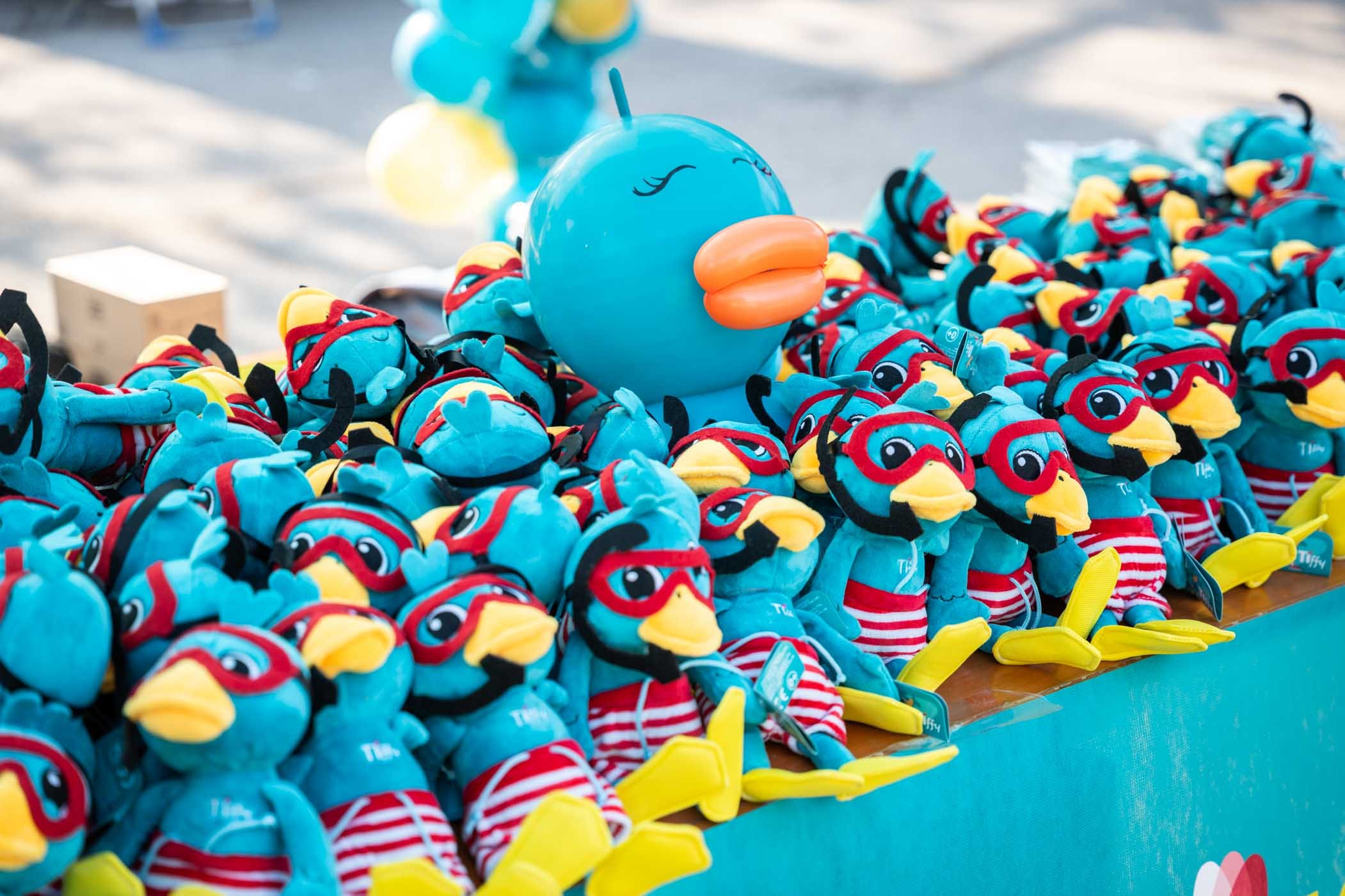 Terza edizione | TIGOT&Agrave; SPRING RUN